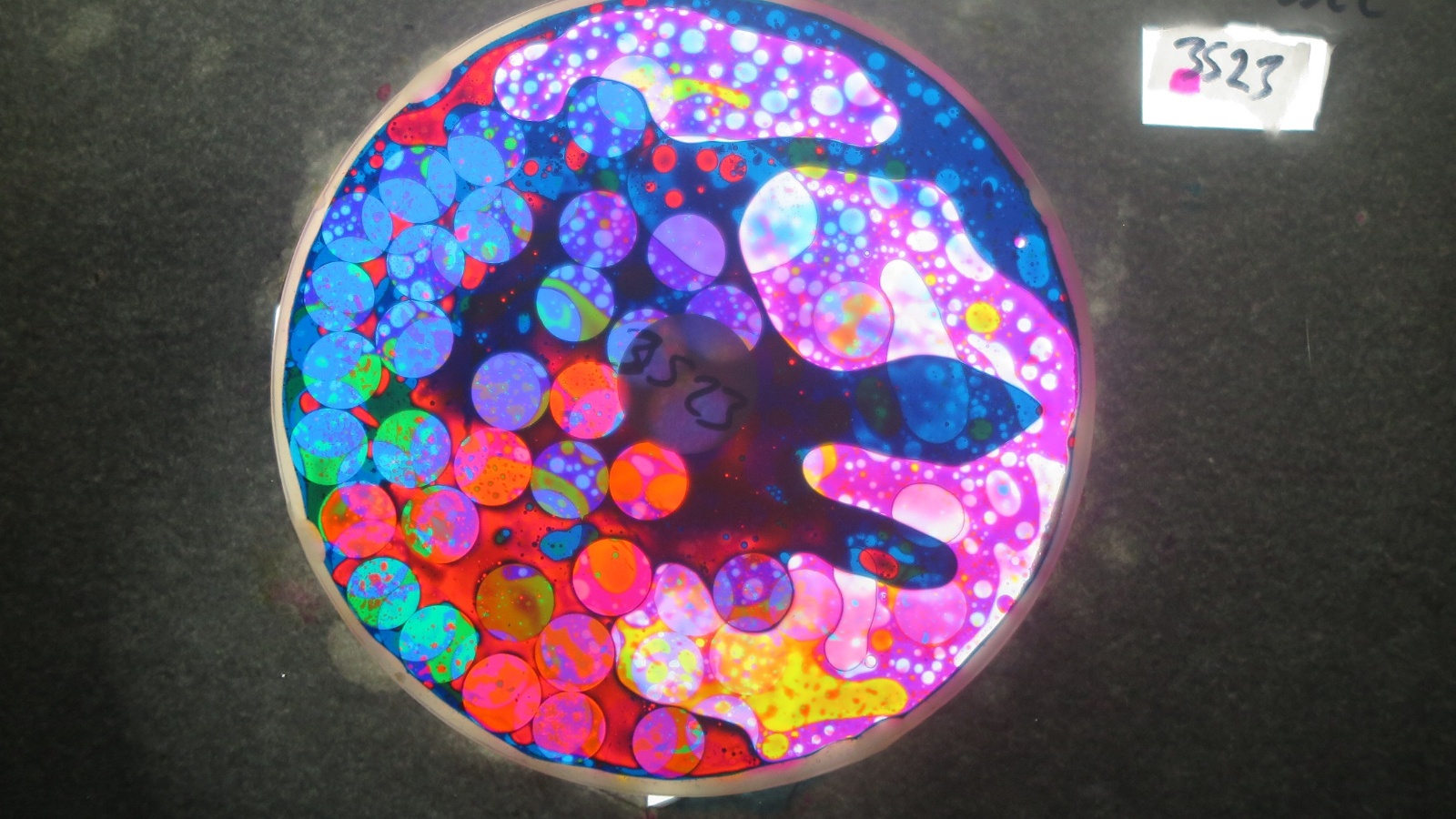 BV3523 bubble vision oil wheel